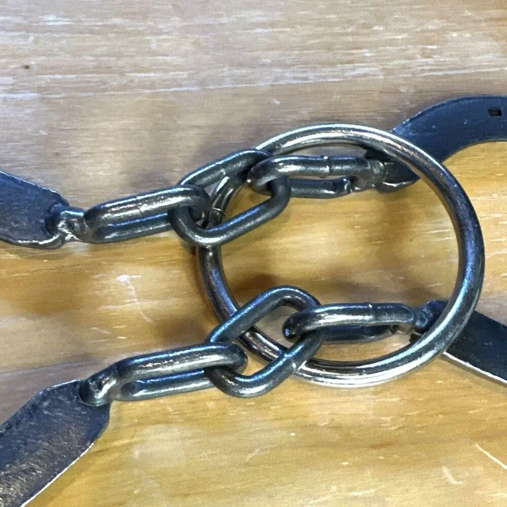 Horseshoe Chain Puzzle Hanayama Star Magic Trick Brain Teasers fun at home